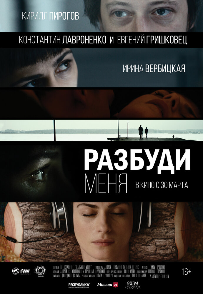 Разбуди меня (2016)