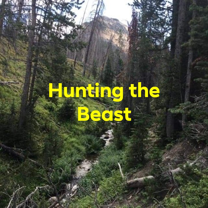 Hunting the beast (2020)